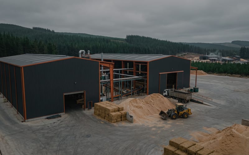 Biomass Sawdust Straw Pelletizing Plant in Chile