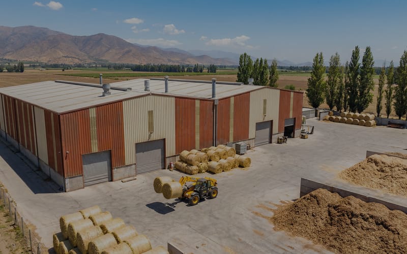 Crop Straw Wood Pelletizing Plant in Chile