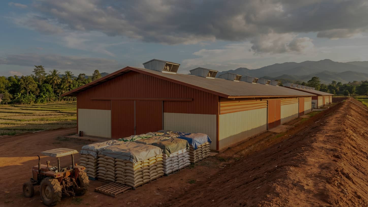 Farm Use 1-2TH Chicken Feed & 0.5TH Extruded Fish Feed Line In Thailand