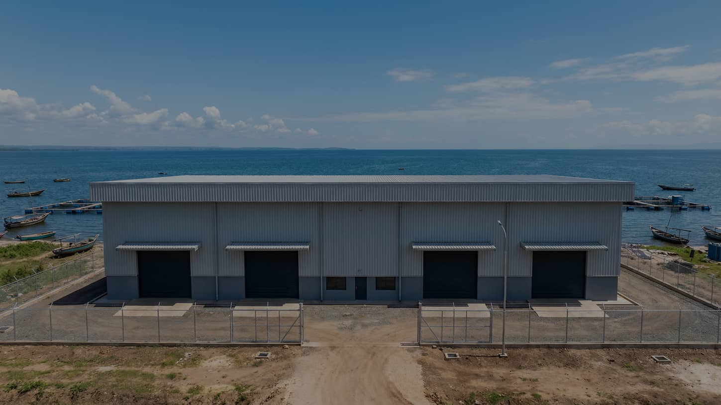 Tilapia Feed Pellet Production Line in Tanzania