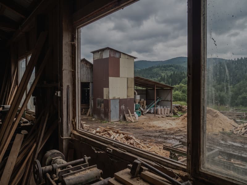 0.2-0.3th sawmill waste pellet mill in Poland