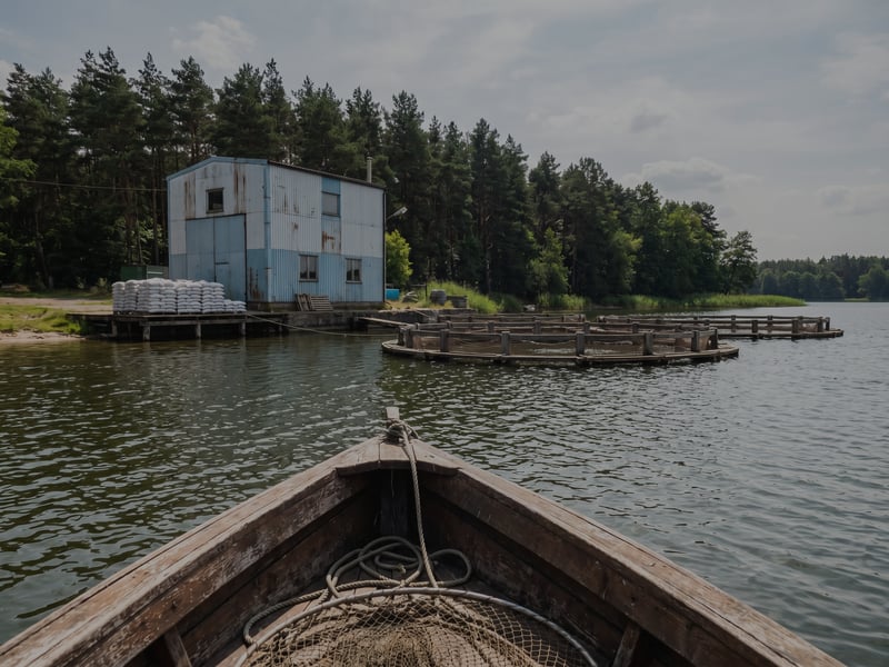 0.8-1.0th fish feed extrusion line in Poland