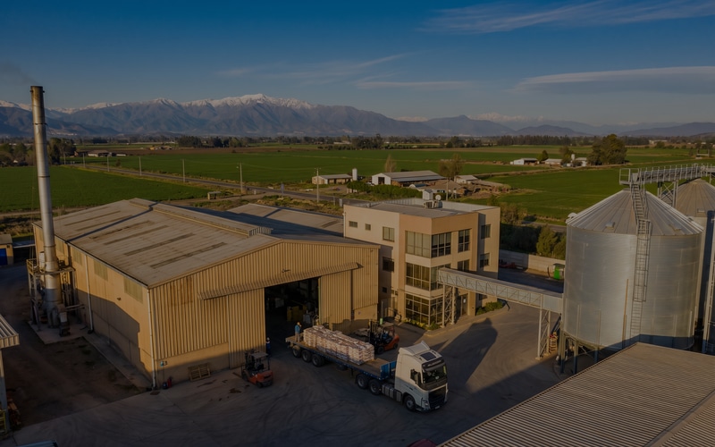 Feed Mill Plant for Soybean Feed in Chile
