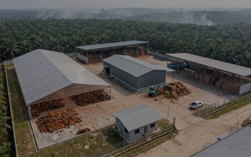Palm Fiber Pellet Production Plant for Biomass Fuel in Indonesia