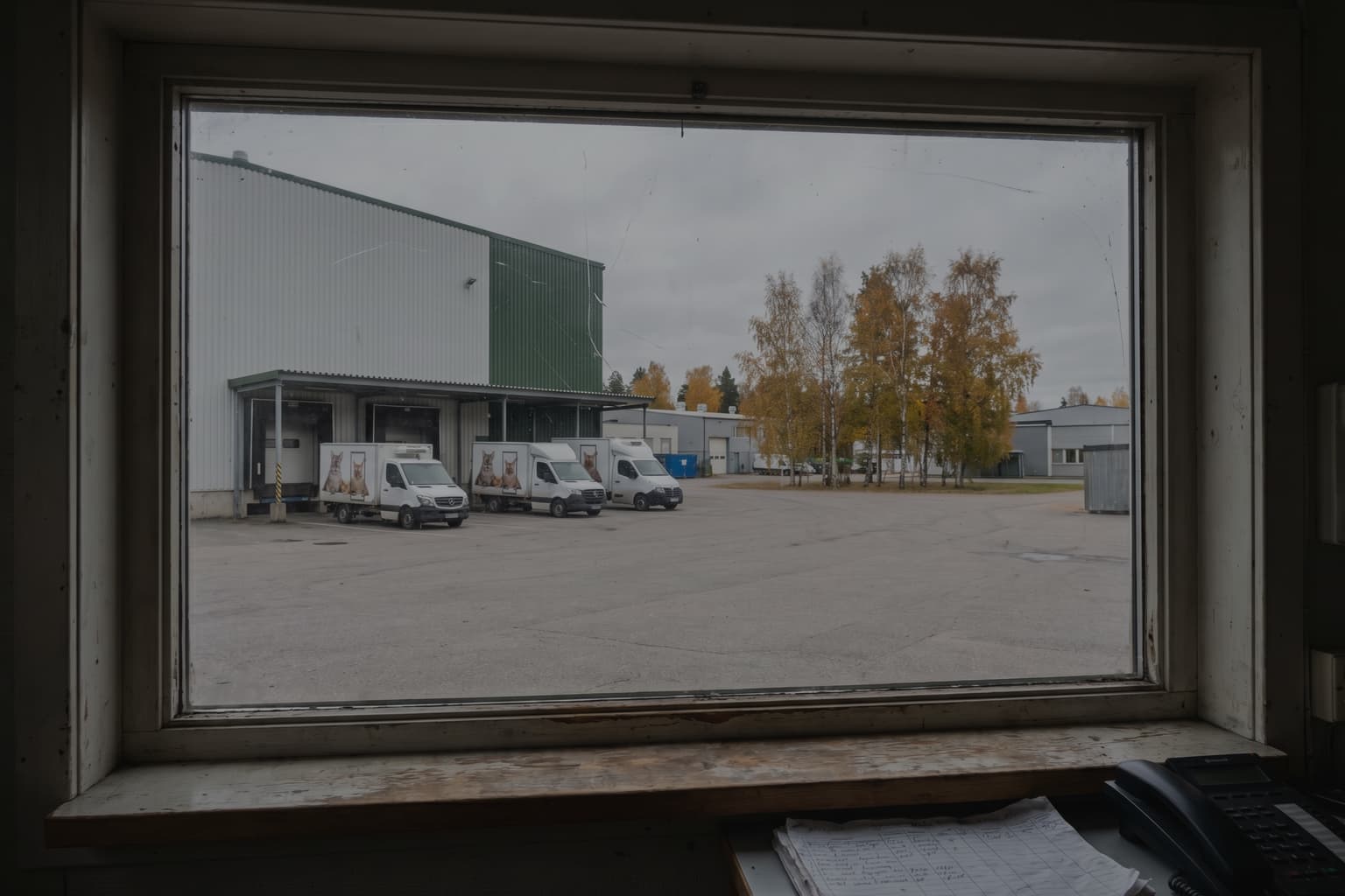 1-2T/H Pet Food Production Line In Russia
