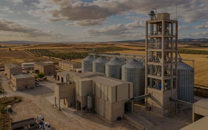 Pig Feed Plant for Large Scale Farming in Spain