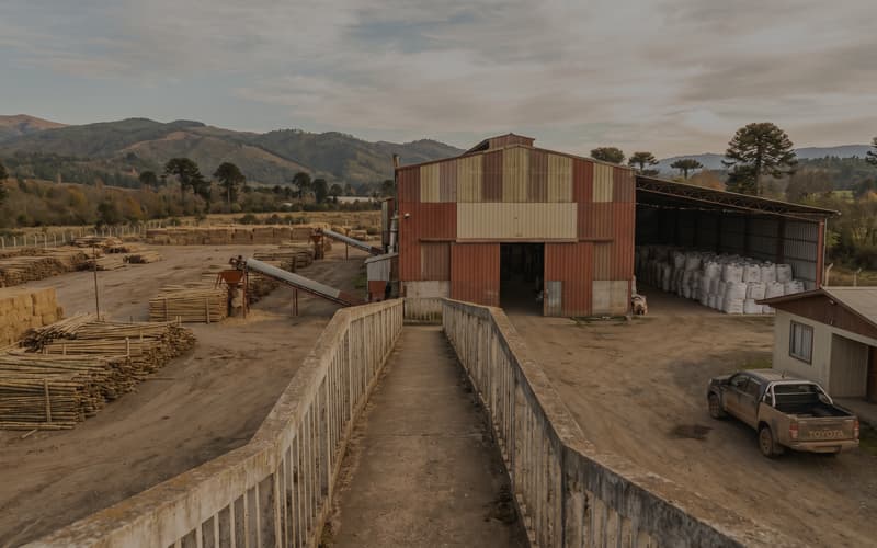 Straw Bamboo Wood Pellet Manufacturing Plant in Chile