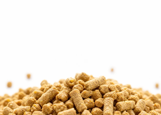 Grower Feed