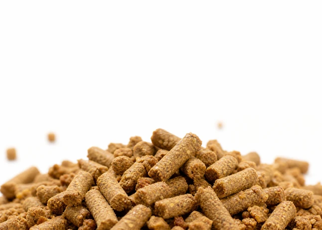 breeder chicken feed