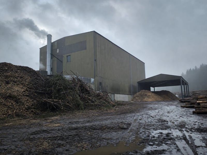 10-12 t/h forestry residue pellet plant in UK