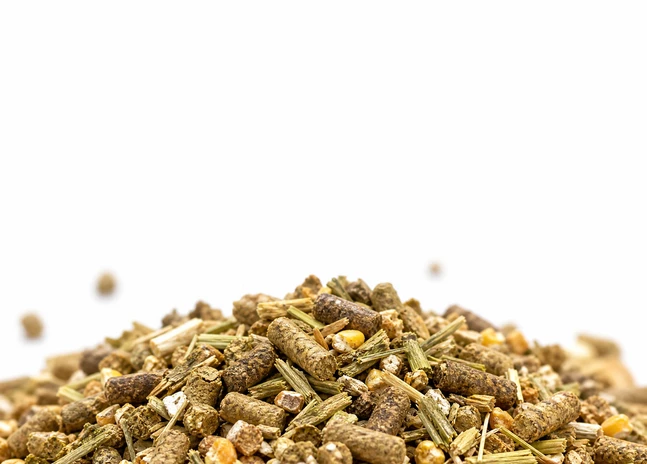 dairy cattle feed