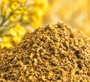 Rapeseed Meal