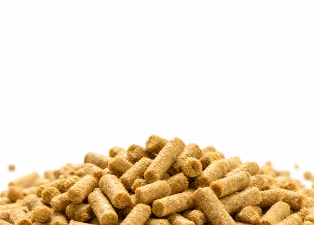 Grower Feed