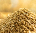 Fish Meal