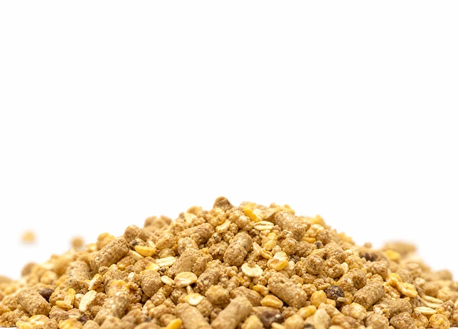 calf feed