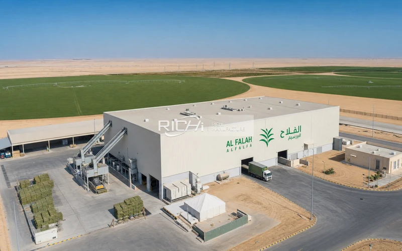 fully automatic cattle feed plant