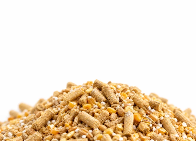 Broiler Feed