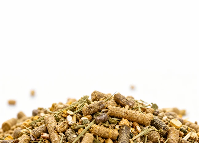 breeding cattle feed