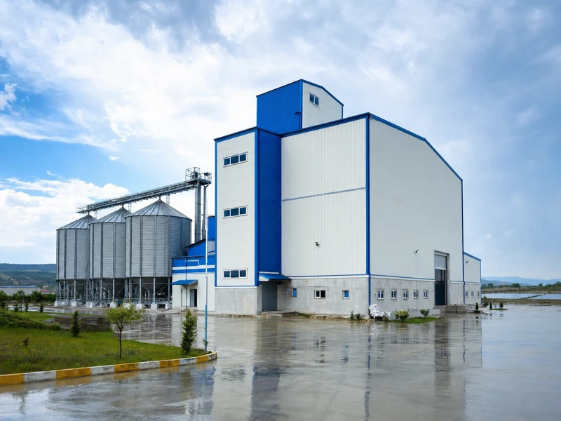 2-4 t/h catfish feed pellet plant in Turkey