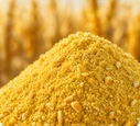 Corn Gluten Meal