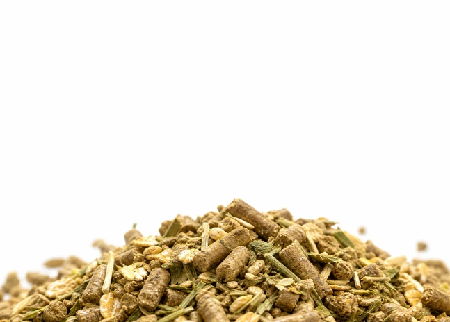 Growing Goat feed