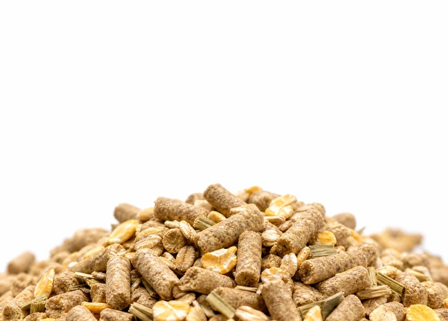 Fattening Goat feed