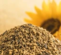Sunflower Meal