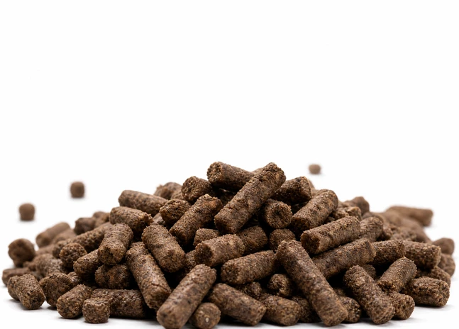Beef Cattle Feed