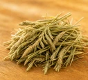 Timothy Hay