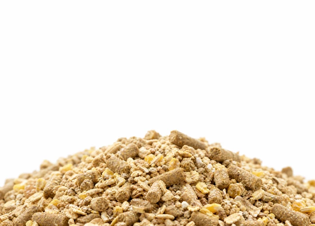 Sow Feed