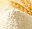 Wheat Flour