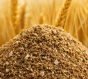Meat and Bone Meal