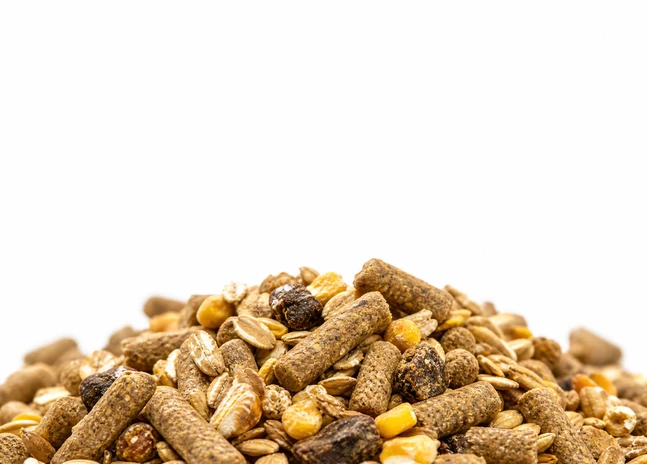 Performance Horse Feed