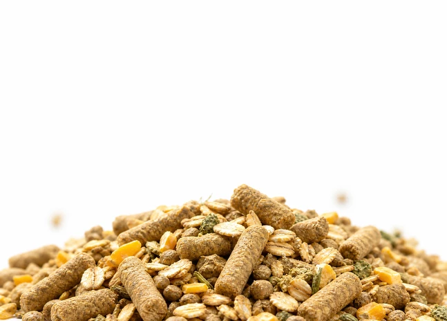 Breeding Horse Feed