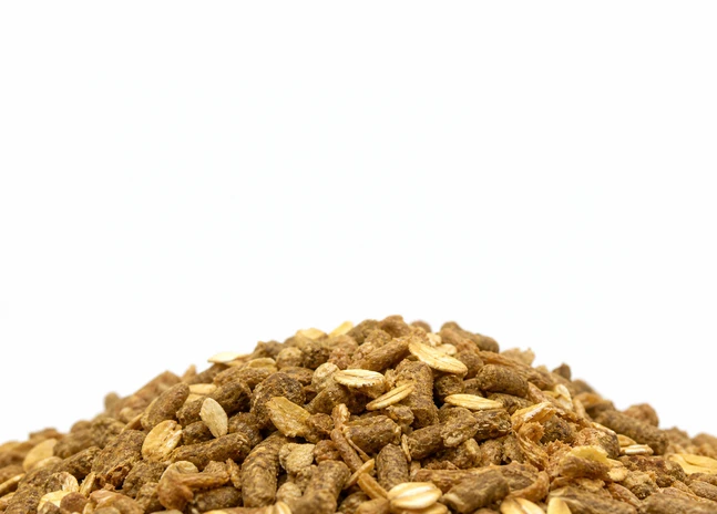 Senior Horse feed