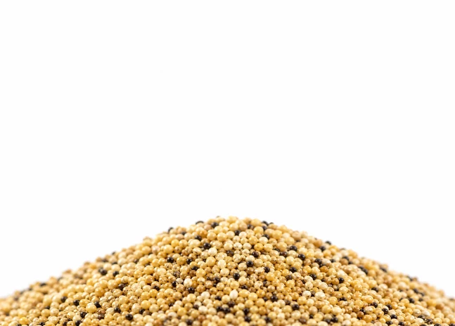 Finch Feed