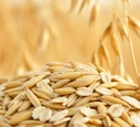 Oats