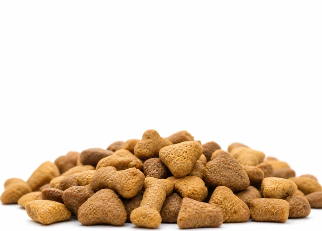 dog feed