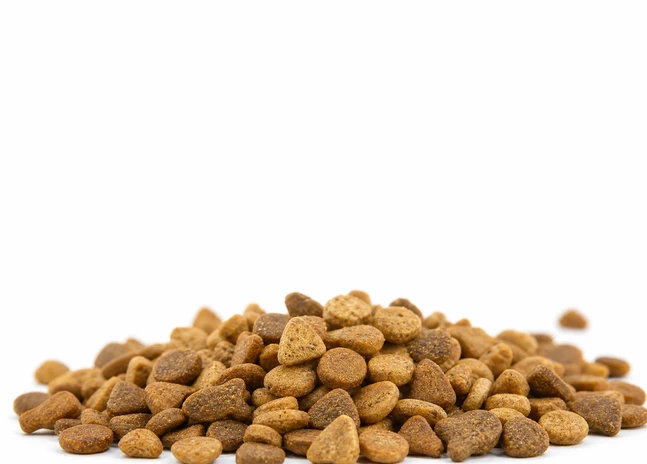 cat feed