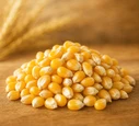Corn