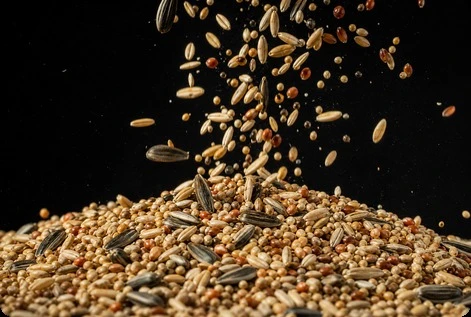 bird mixed seed feed