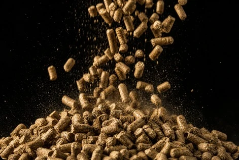 Horse Concentrate Feed (High-Energy Mash / Pellet Base)