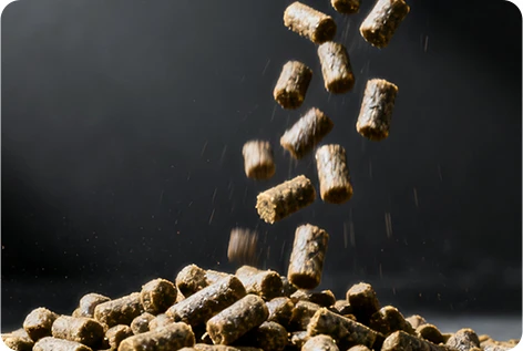 Poultry compound feed