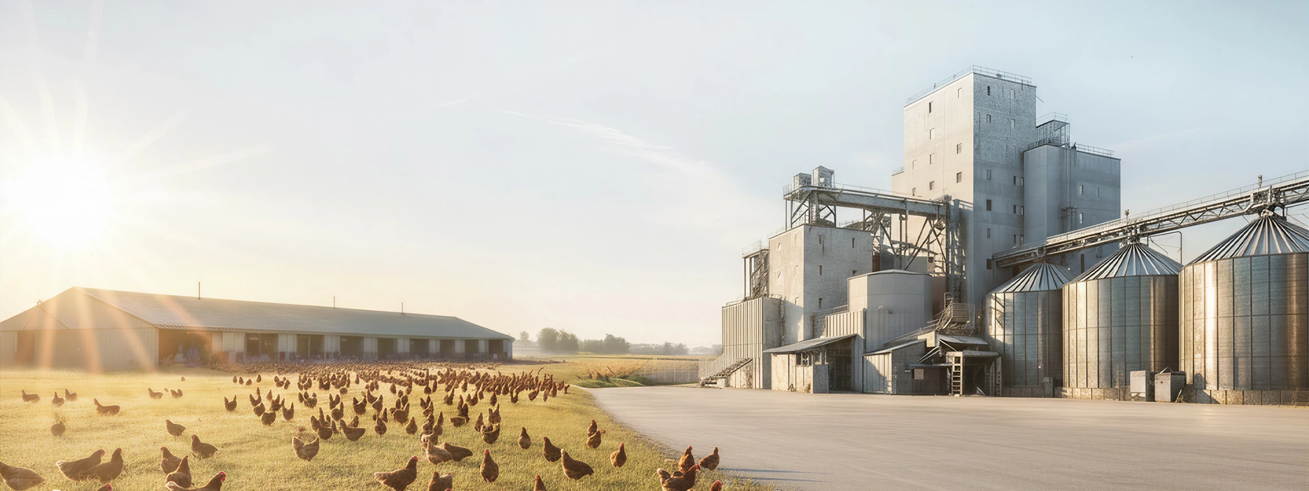 complete commercial chicken feed mill plant for sale
