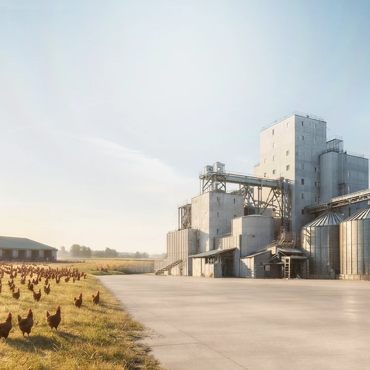 RICHI complete chicken feed mill plant for sale