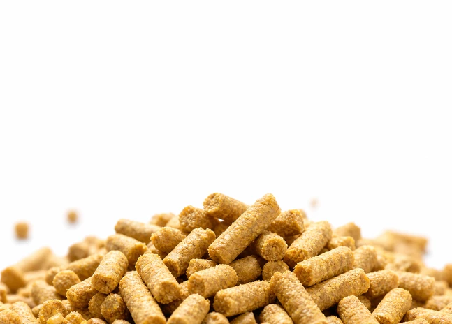 broiler feed