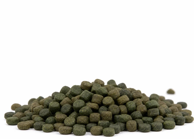 frog feed