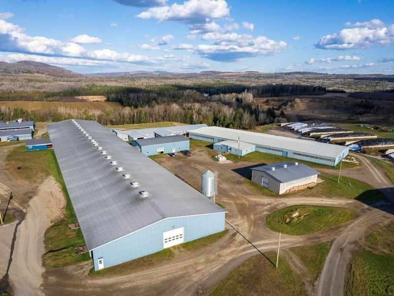 6–8 T/H Goat Feed Mill Plant in Mexico (Cattle & Goat Feed Factory)