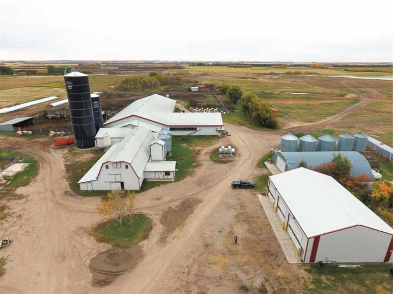 8-10t/h Fully Automatic Cattle Feed Plant in Tunisia