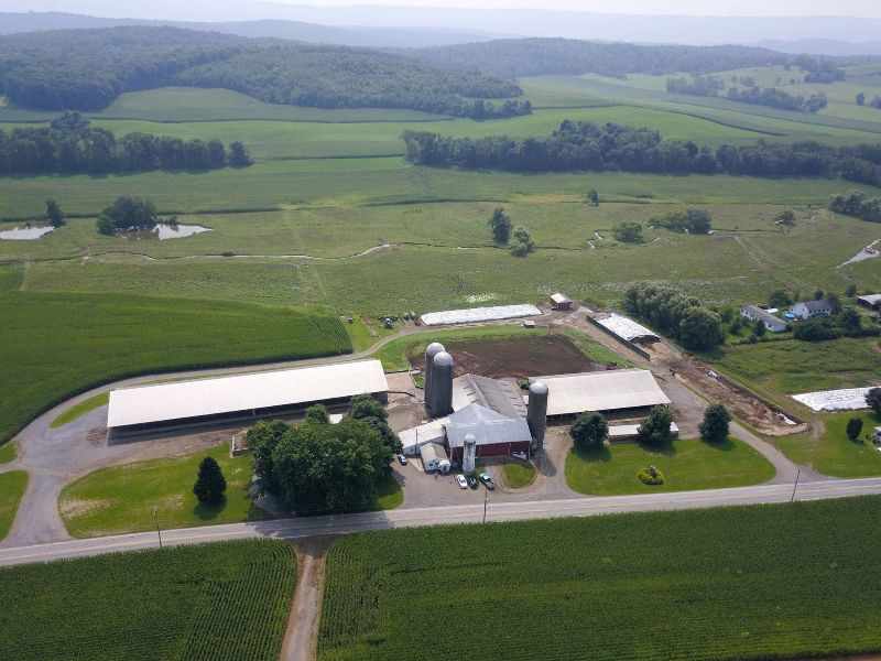 5T/H Rabbit Feed Mill Project